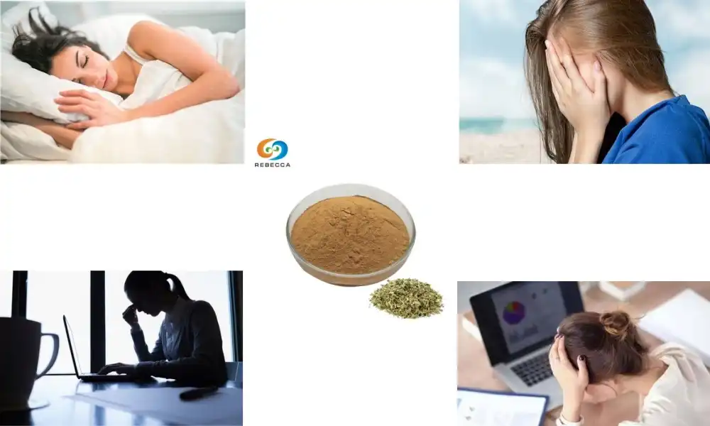 How does damiana make you feel?